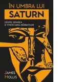 In umbra lui Saturn. Despre ranirea si vindecarea barbatilor - James Hollis, Andrei Gaitanaru