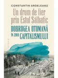 Cumpara ieftin Un drum de fier prin Estul Salbatic. Dobrogea otomana in zorii capitalismului/Constantin Ardeleanu