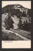 CPIB 19539 CARTE POSTALA - MASIVUL POSTAVARUL. CABANA &quot;CRISTIANUL MARE&quot;, RPR, Circulata, Fotografie