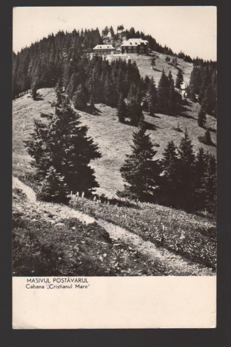 CPIB 19539 CARTE POSTALA - MASIVUL POSTAVARUL. CABANA &amp;quot;CRISTIANUL MARE ...