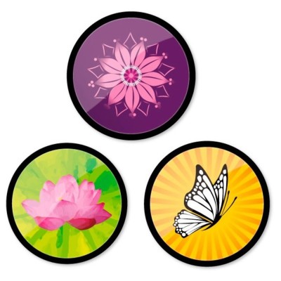 Insigne 3buc/set, Roller Nikidom Bloom foto