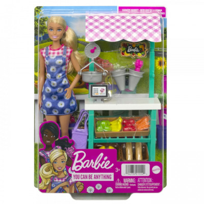 BARBIE PAPUSA BARBIE YOU CAN BE VANZATOARE LA MARKET foto