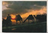 Bnk cp Israel - Caravana de camile - uzata, Necirculata, Printata