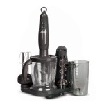 Set blender cana si accesorii 700W 2 viteze Zilan ZLN5343