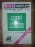 Algebra si geometrie clasa a 8-a - Anton Negrila, Ion Rosu