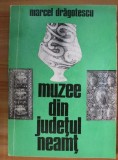 Marcel Dragotescu - Muzee din judetul Neamt