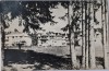 Carte Postala, Borsec, Circulata, Fotografie