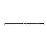 Lanseta telescopica crap/stationar Delphin THUNDER GenerationX 3.0 m A: 100 g, 5 tronsoane