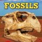 DK Super Readers Level 3 Fossils