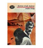 Djubran Khalil Djubran - Aripile frinte - 107749