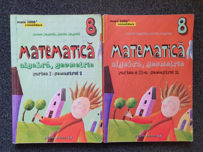 MATE 2000 CONSOLIDARE. MATEMATICA ALGEBRA GEOMETRIE CLASA A VIII- Negrila 2 vol