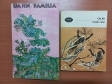 BA JIN - FAMILIA [Conține postfață] + NOPTI RECI [Conține prefață și tabel cronologic]