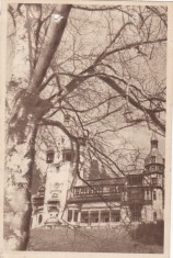 AMS - ILUSTRATA 1310, SINAIA - MUZEUL PELES, ANUL 1958, cu perforari