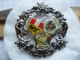 Insigna AUSTRIA - SALZBURG 37 mm , IM 1.24