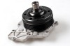 HEPU P1549 Pompă de apă, răcire motor