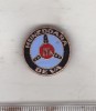 Bnk ins Insigna ITA Deva Hunedoara, Romania de la 1950