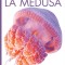 La Medusa