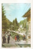 RF153 - Carte Postala - Slanic-Moldova, Vedere din parc, circulata