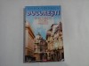 Ghid Bucuresti Turistic, Istoric si Artistic - Silvia Colfescu, Editura Vremea, 207 pagini