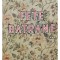 Mihail Serban - Fete batrane