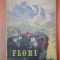 FLORI DIN MUNTII NOSTRI de Al. Beldie si C. Pridvornic , 1959 * PREZINTA HALOURI DE APA