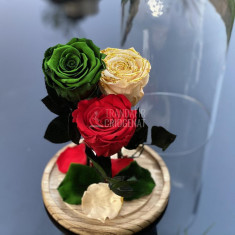 3 Trandafiri Criogenati verde, rosu, crem Ø6,5cm 17x28cm