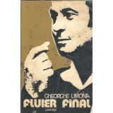 Fluier final - Gheorghe Limona