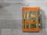 Muntii sunt ai nostri de Oana Manolescu