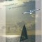 bnk cp Felicitare - Din necuprinsul zarii spre tine-mi zboara gandul ... - mare - pescarus - windsurfing
