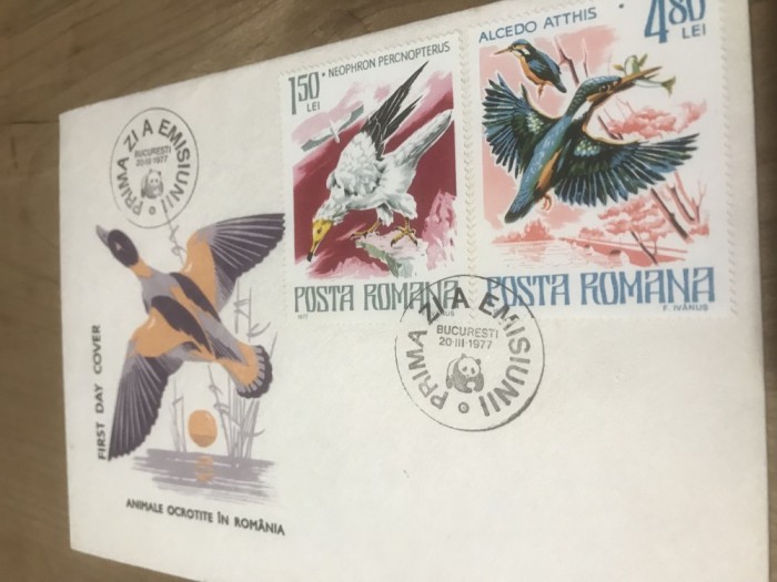 A. Plic prima zi