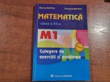 Matematica clasa a XII a M1.Culegere de exercitii si probleme-M.Burtea,G.Burtea