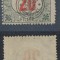 Emisiunea Cluj 1919 timbru porto 20 BANI eroare cu inscriptia BANI &icirc;n partea de sus, &icirc;n loc de jos MNH