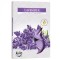Set 6 lumanari parfumate tip pastila P15-79 LAVANDA DNC16154