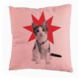 Perna Decorativa, Model Super Cat, 40x40 cm, Roz, Husa Detasabila, Burduf