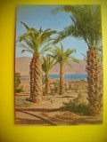 HOPCT 6122 GOLFUL SI FALEZA EILAT -ISRAEL-ASIA -NECIRCULATA