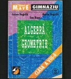 MATE 2000 - CULEGERE MATEMATICĂ ALGEBRĂ / GEOMETRIE CLASA VIII-A ANTON NEGRILĂ