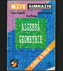 MATE 2000 - CULEGERE MATEMATICĂ ALGEBRĂ / GEOMETRIE CLASA VIII-A ANTON NEGRILĂ