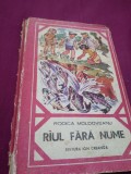 RAUL FARA NUME -RODICA MOLDOVEANU