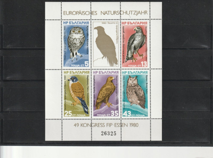 Fauna ,protectia mediului ,pasari ,vulturi ,Expo Essen,Bulgaria.