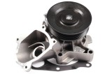 HEPU P497 Pompă de apă, răcire motor