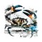 Sticker decorativ Rac, Multicolor, 55 cm, 11817ST