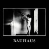 Bauhaus In The Flat Field (cd)