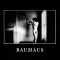 Bauhaus In The Flat Field (cd)