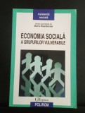 Economia sociala a grupurilor vulnerabile - Doru Buzducea