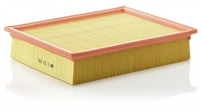 Filtru aer Mann-Filter C33256 foto