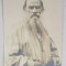 EMIL GARLEANU CATRE ELIZA XENOPOL *, CARTE POSTALA ILUSTRATA , PORTRETUL LUI LEV TOLSTOI , CIRCULATA , CLASICA , 1902