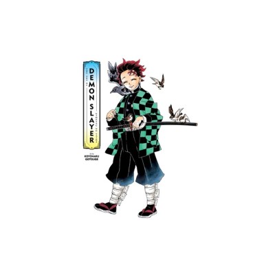 The Art of Demon Slayer: Kimetsu No Yaiba foto