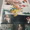 VOX POP FOCK NR.14 /1995 ROD STEWART