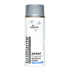 Spray Vopsea Brilliante, Gri Argintiu, 400ml