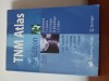 TNM Atlas-Ch.Wittekind., ALL